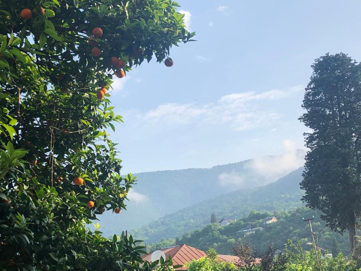 Guest House Letto Гагра Екстер'єр фото
