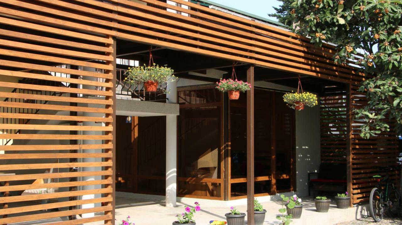 Guest House Letto Гагра Екстер'єр фото